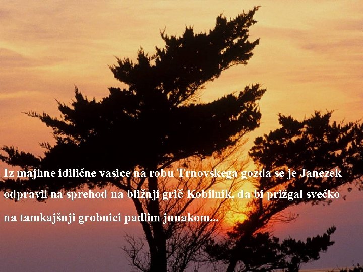 Iz majhne idilične vasice na robu Trnovskega gozda se je Janezek odpravil na sprehod