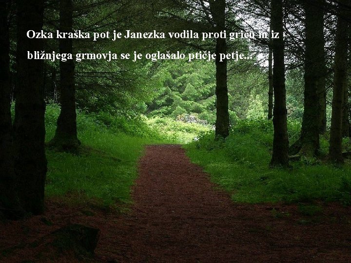 Ozka kraška pot je Janezka vodila proti griču in iz bližnjega grmovja se je