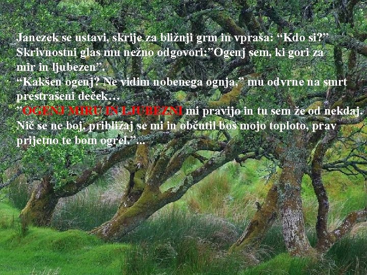 Janezek se ustavi, skrije za bližnji grm in vpraša: “Kdo si? ” Skrivnostni glas