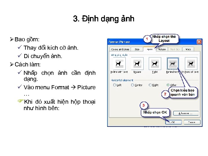 3. Định dạng ảnh Ø Bao gồm: ü Thay đổi kích cỡ ảnh. ü