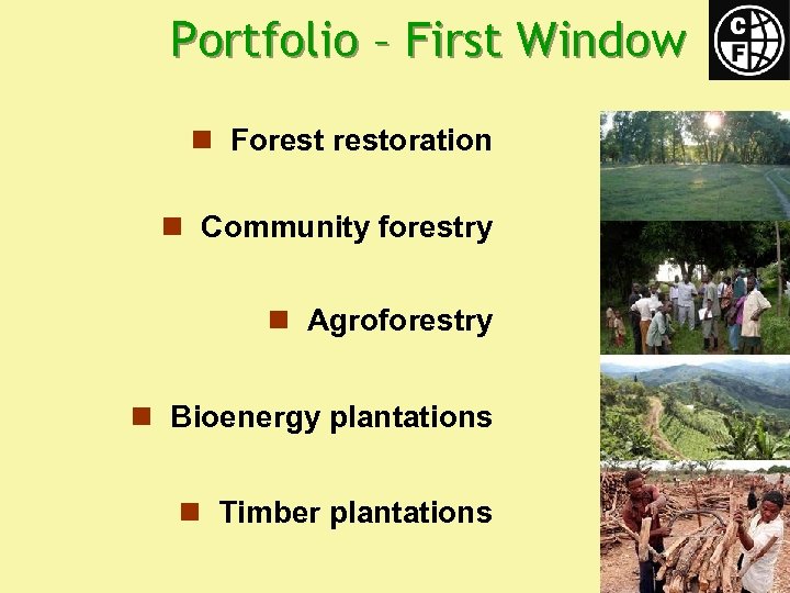 Portfolio – First Window n Forestoration n Community forestry n Agroforestry n Bioenergy plantations