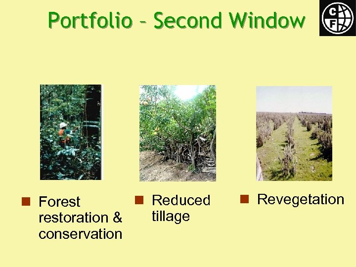 Portfolio – Second Window n Reduced n Forest tillage restoration & conservation n Revegetation