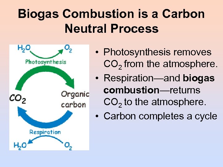 Biogas Combustion is a Carbon Neutral Process • Photosynthesis removes CO 2 from the