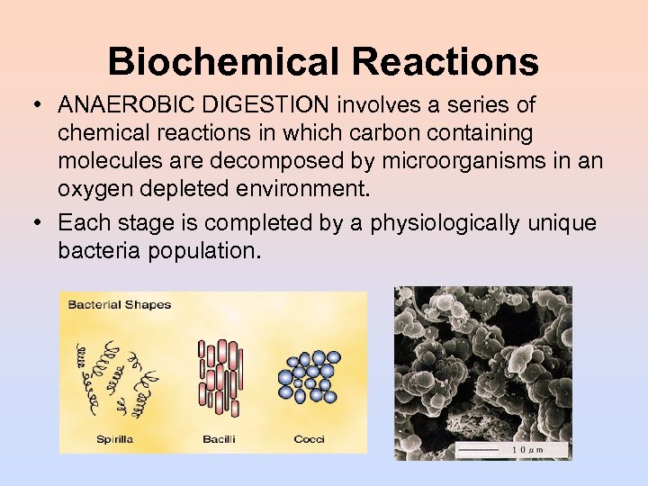 Biochemical Reactions • ANAEROBIC DIGESTION involves a series of chemical reactions in which carbon