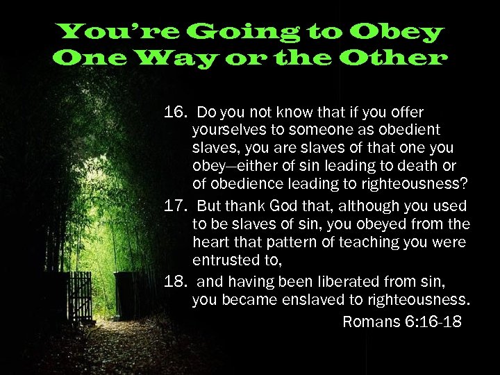 You’re Going to Obey One Way or the Other 16. Do you not know
