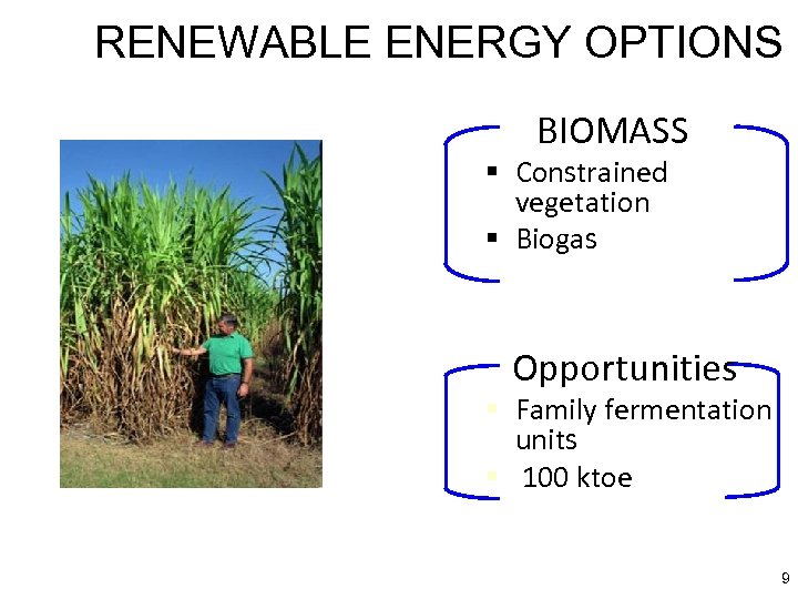 RENEWABLE ENERGY OPTIONS BIOMASS § Constrained vegetation § Biogas Opportunities § Family fermentation units
