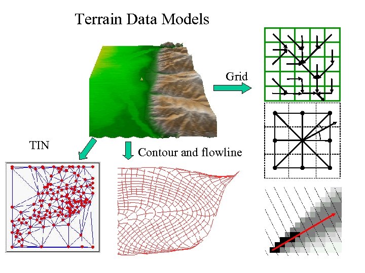 Terrain Data Models Grid TIN Contour and flowline 