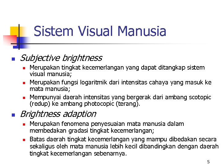 Sistem Visual Manusia n Subjective brightness n n Merupakan tingkat kecemerlangan yang dapat ditangkap