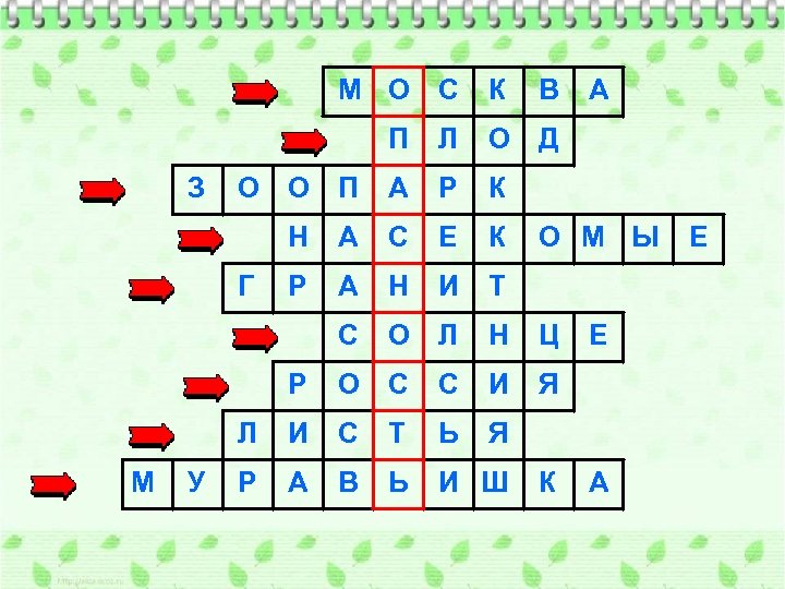 М О С К В П О Д О О П А Р К