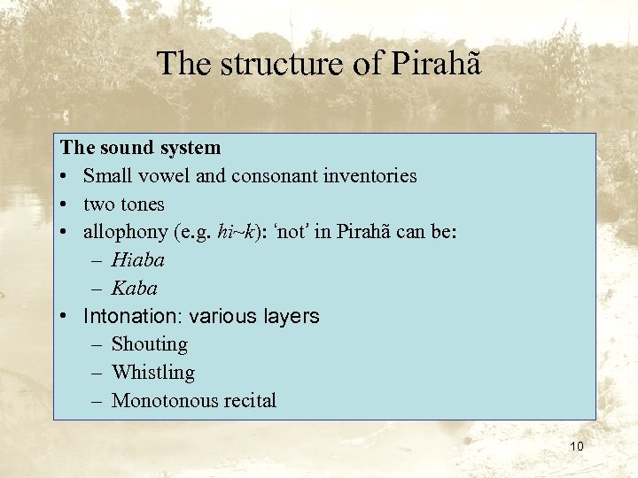 The structure of Pirahã The sound system • Small vowel and consonant inventories •