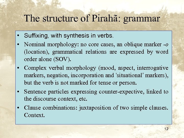 The structure of Pirahã: grammar • Suffixing, with synthesis in verbs. • Nominal morphology: