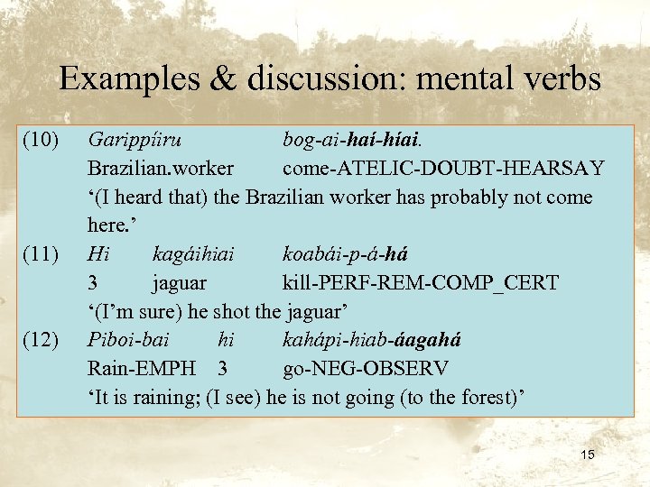 Examples & discussion: mental verbs (10) (11) (12) Garippíiru bog-ai-haí-híai. Brazilian. worker come-ATELIC-DOUBT-HEARSAY ‘(I