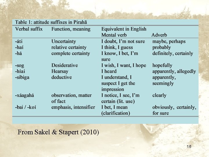 From Sakel & Stapert (2010) 16 