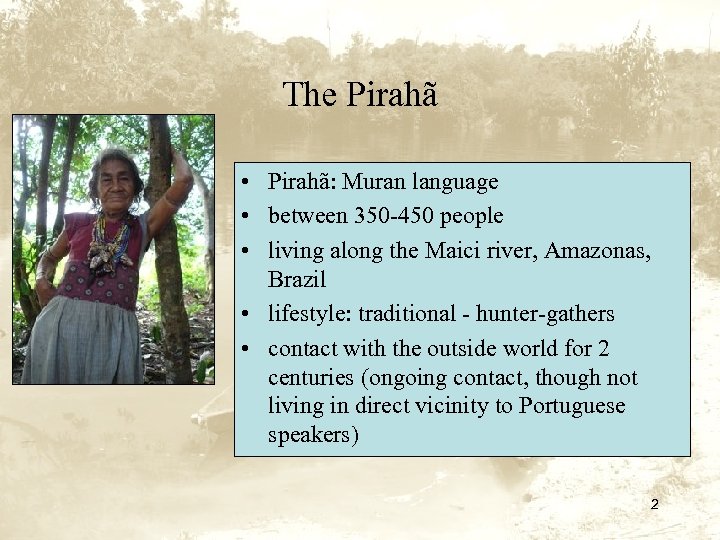 The Pirahã • Pirahã: Muran language • between 350 -450 people • living along