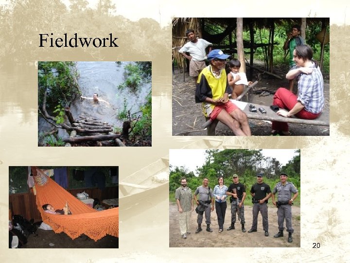 Fieldwork 20 