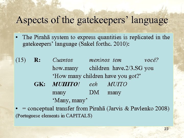 Aspects of the gatekeepers’ language • The Pirahã system to express quantities is replicated