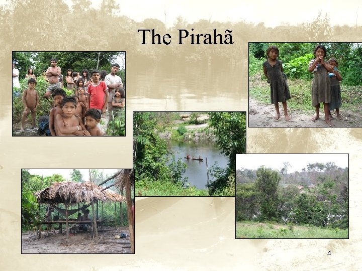 The Pirahã 4 