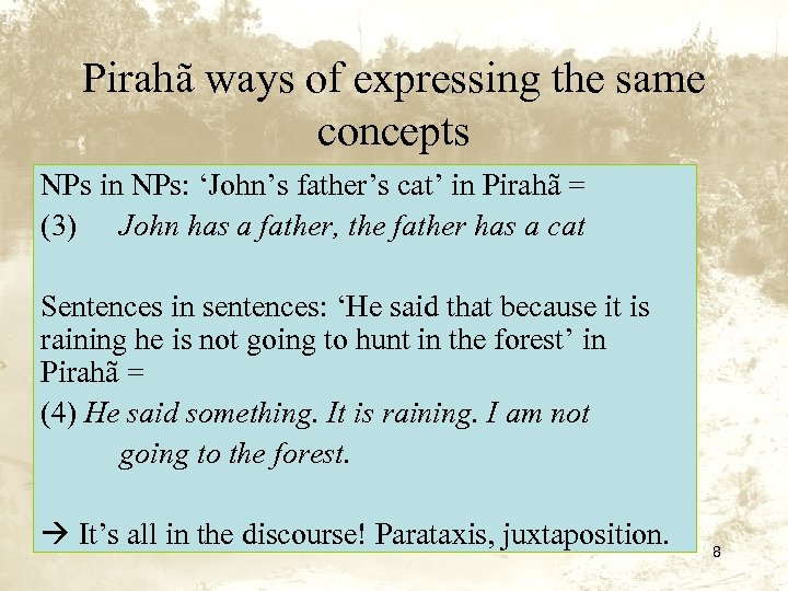 Pirahã ways of expressing the same concepts NPs in NPs: ‘John’s father’s cat’ in