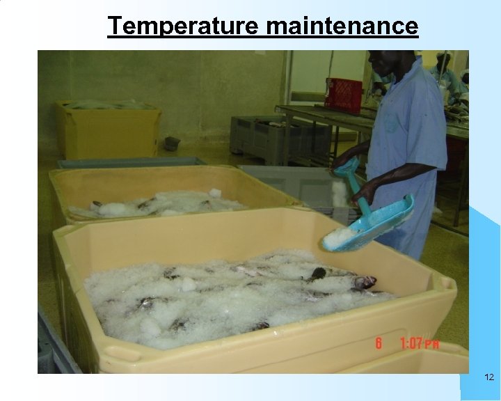 Temperature maintenance 12 