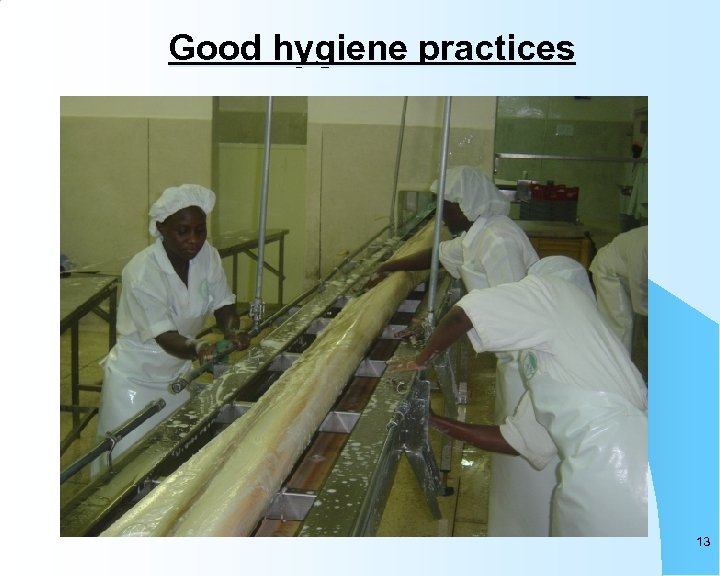 Good hygiene practices 13 