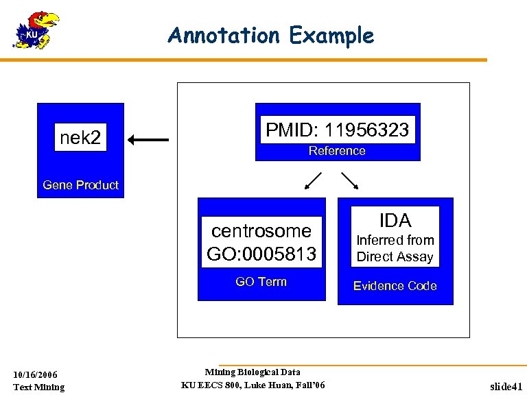 Annotation Example nek 2 PMID: 11956323 Reference Gene Product IDA centrosome GO: 0005813 GO