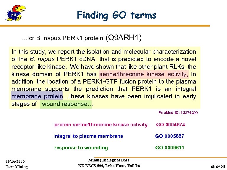 Finding GO terms …for B. napus PERK 1 protein (Q 9 ARH 1) In