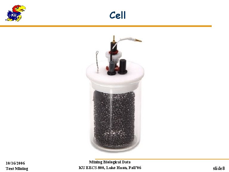 Cell 10/16/2006 Text Mining Biological Data KU EECS 800, Luke Huan, Fall’ 06 slide