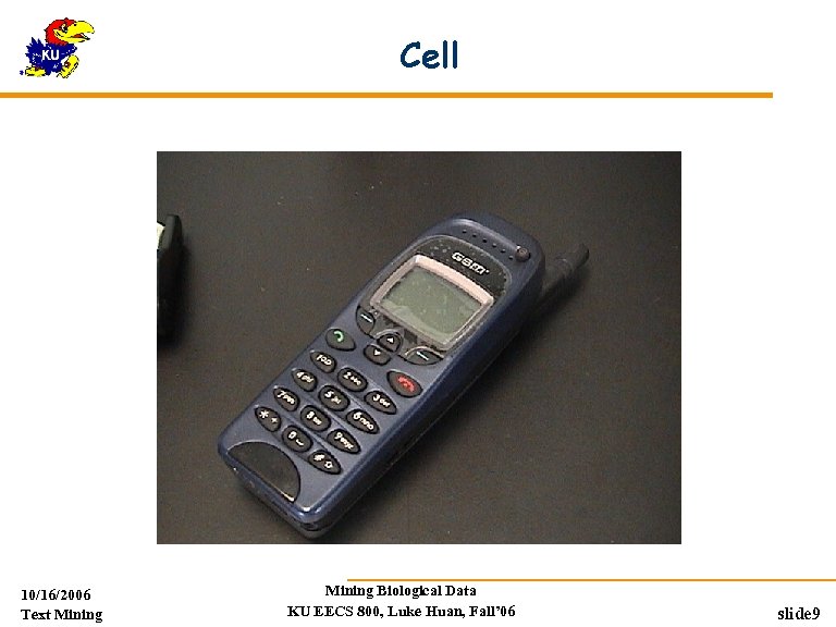 Cell 10/16/2006 Text Mining Biological Data KU EECS 800, Luke Huan, Fall’ 06 slide