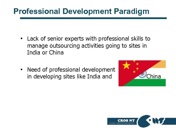 Professional Development Paradigm • Lack of senior experts with professional skills to manage outsourcing