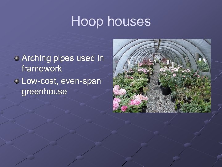 Hoop houses Arching pipes used in framework Low-cost, even-span greenhouse 