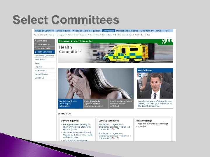 Select Committees 