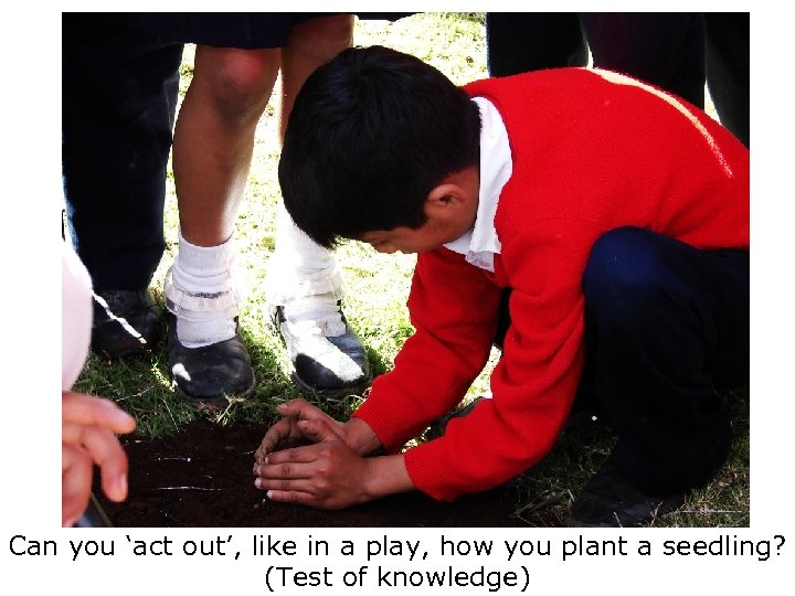 Can you ‘act out’, like in a play, how you plant a seedling? (Test