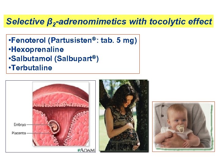 Selective β 2 -adrenomimetics with tocolytic effect • Fenoterol (Partusisten : tab. 5 mg)