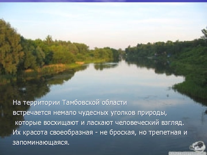 На территории Тамбовской области встречается немало чудесных уголков природы, которые восхищают и ласкают человеческий