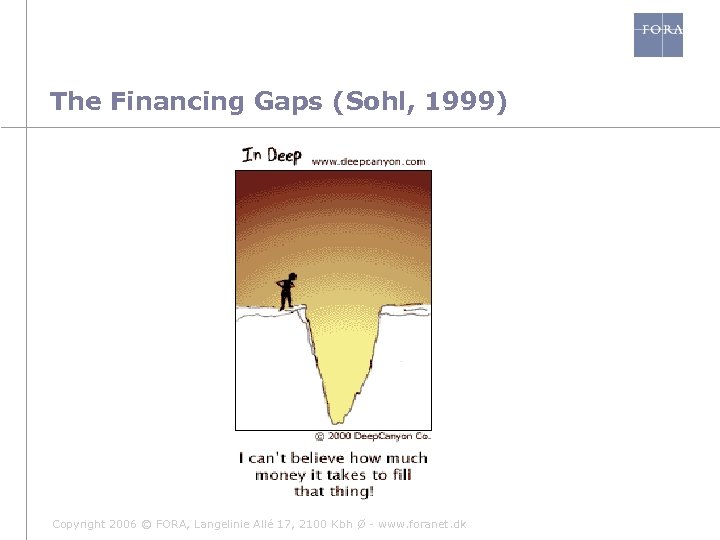 The Financing Gaps (Sohl, 1999) Copyright 2006 © FORA, Langelinie Allé 17, 2100 Kbh