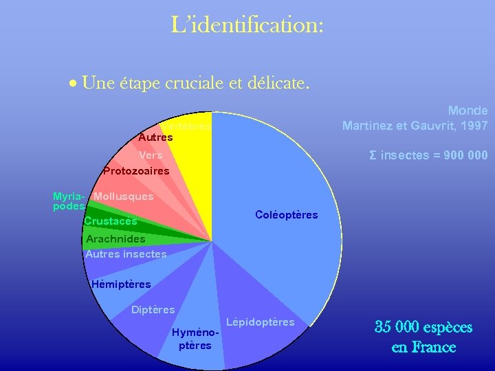 L’identification: · Une étape cruciale et délicate. Monde Martinez et Gauvrit, 1997 Vertébrés Autres