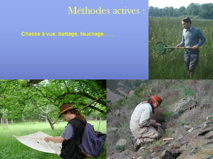 Méthodes actives : Chasse à vue, battage, fauchage, …. 