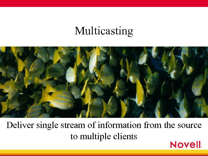 Multicasting Deliver single stream of information from the source to multiple clients 