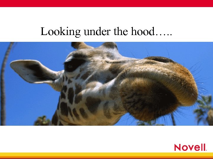 Looking under the hood…. . 