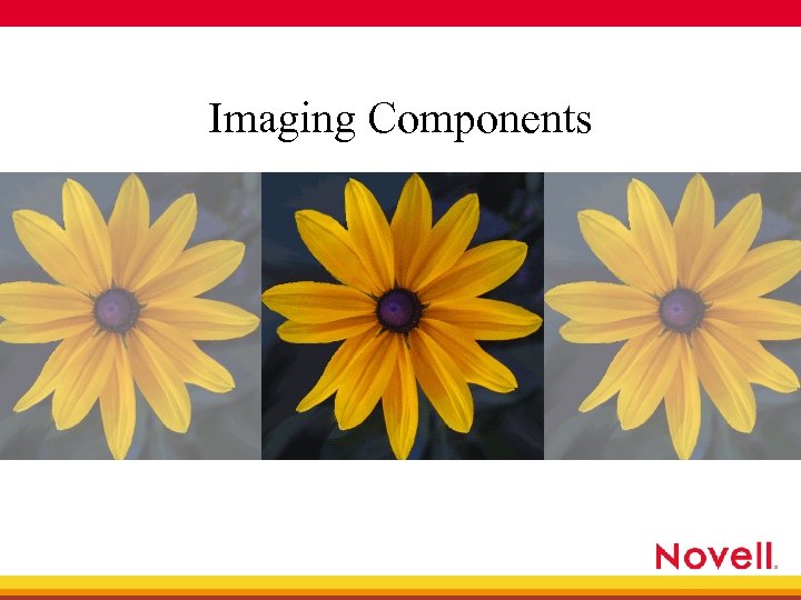 Imaging Components 