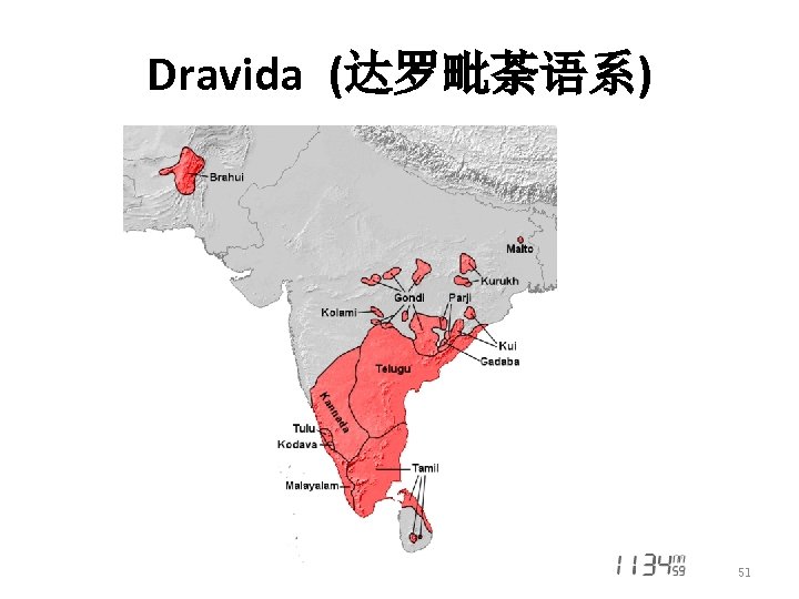 Dravida (达罗毗荼语系) 51 