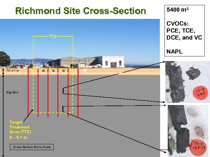 Richmond Site Cross-Section TTZ 5400 m 3 CVOCs: PCE, TCE, DCE, and VC NAPL