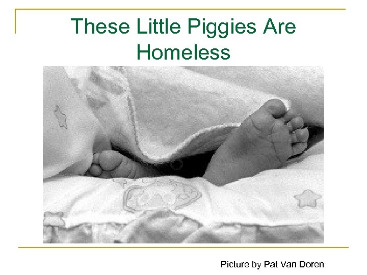 These Little Piggies Are Homeless Picture by Pat Van Doren 