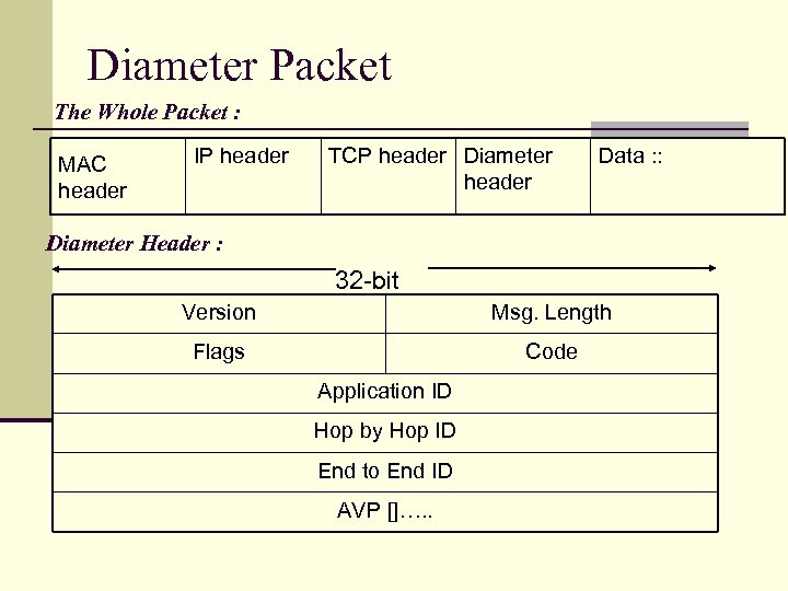 Diameter Packet The Whole Packet : MAC header IP header TCP header Diameter header
