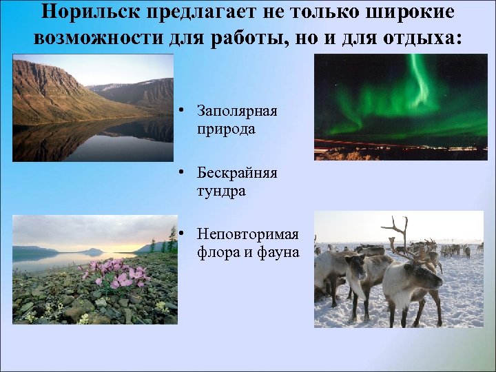 Норильск предлагает не только широкие возможности для работы, но и для отдыха: • Заполярная