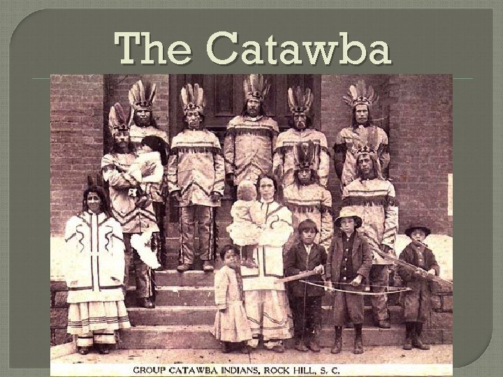 The Catawba 