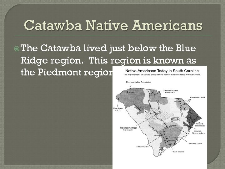 Catawba Native Americans The Catawba lived just below the Blue Ridge region. This region