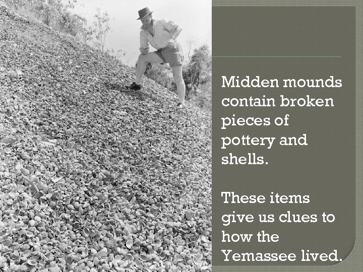 Midden mounds contain broken pieces of pottery and shells. These items give us clues