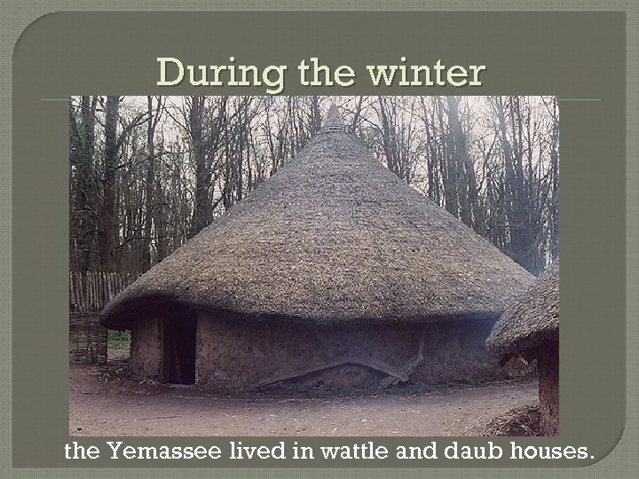 During the winter the Yemassee lived in wattle and daub houses. 