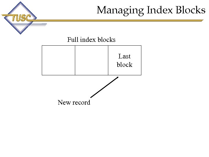 Managing Index Blocks Full index blocks Last block New record 12 